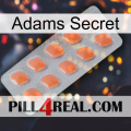 Adams Secret 26